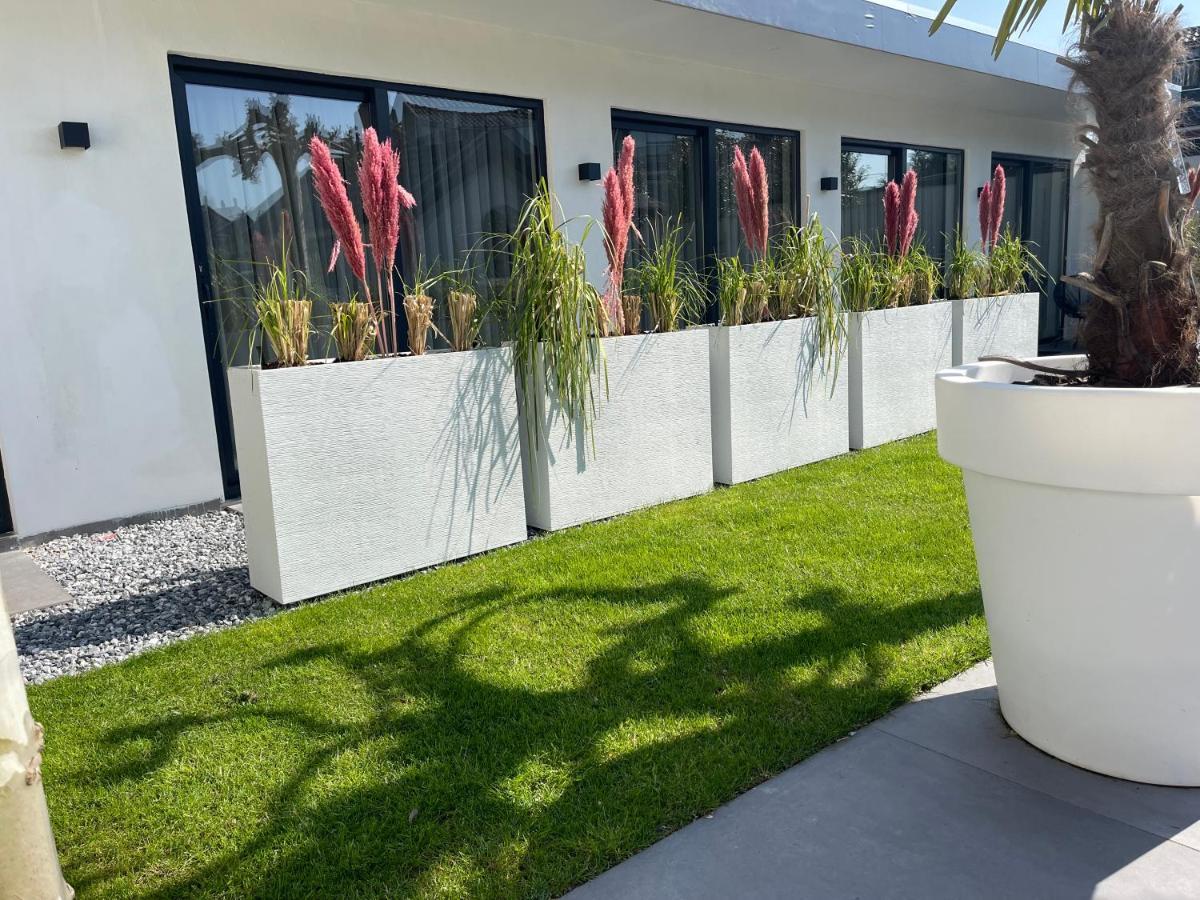 B&B Bubbles&Bites Oostvoorne Eksteriør bilde